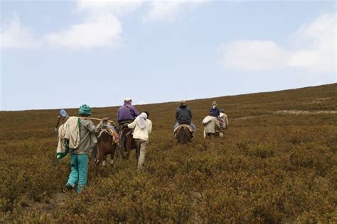 Simien Mountains National Park Wandeltocht Van Een Hele Dag Getyourguide