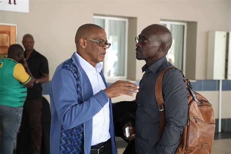 ANC NEC: Hanekom left on thin ice, as Malusi Gigaba handed a new job