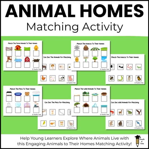 animal homes matching printable match animals   homes activity