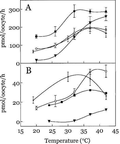 Temperature Dependence Of Apicomplexan Hexose Transporter Activity A