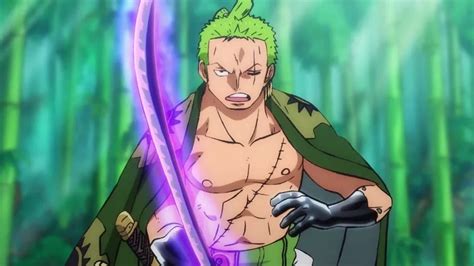 Was Zoro Stronger Than Luffy Post Timeskip In One Piece? - Animehunch