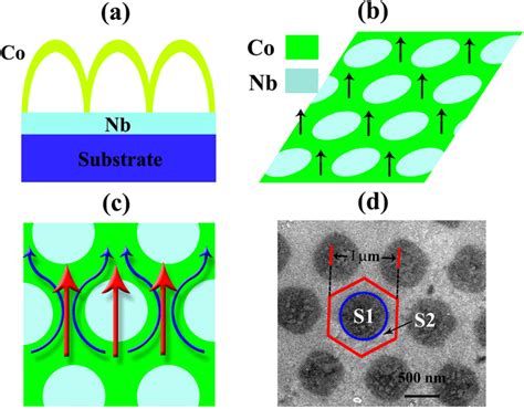 Illustration Of The Superconductor Transition A Side View Of Co Nb