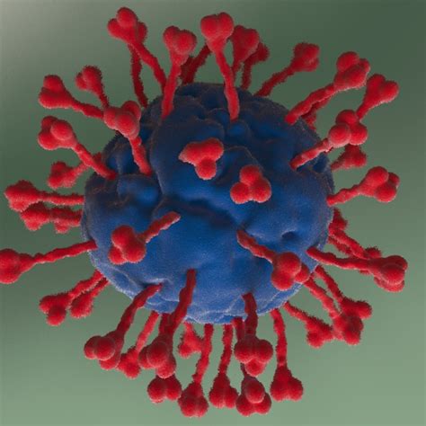 Animated Coronavirus Model 2019-nCoV | CGTrader