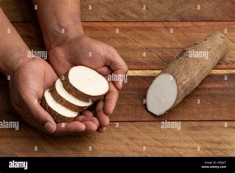 Manihot Esculenta Fresh Organic Cassava Root Stock Photo Alamy