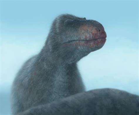 polar bear lizard  primevalraptor  deviantart