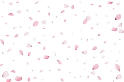 Flying Sakura Petals 11236123 Png