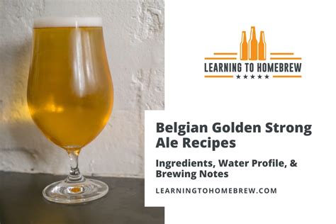 Homebrew Beer Recipes Brew Any Style All Grain And Extract