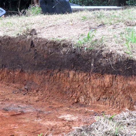 soil types insects  organic gardening