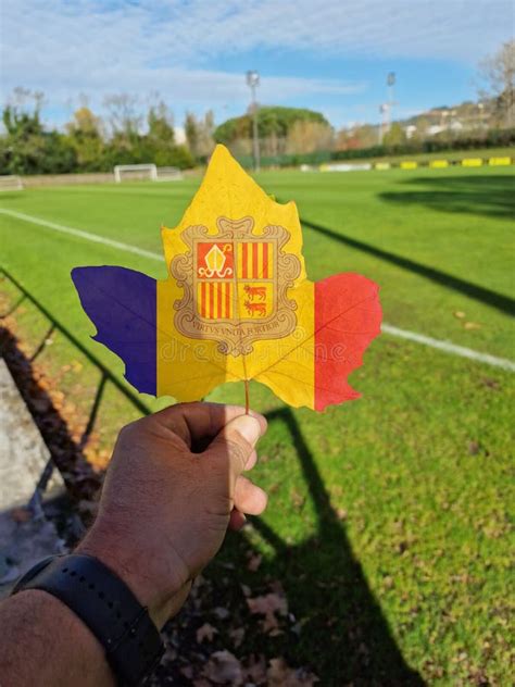 Hand Holding a Tree Leaf with the Flag of Andorra Stock Image - Image ...