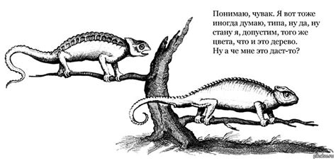 мысли хамелеона | Пикабу