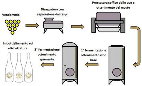 Prosecco Doc Scheda Italia A Tavola