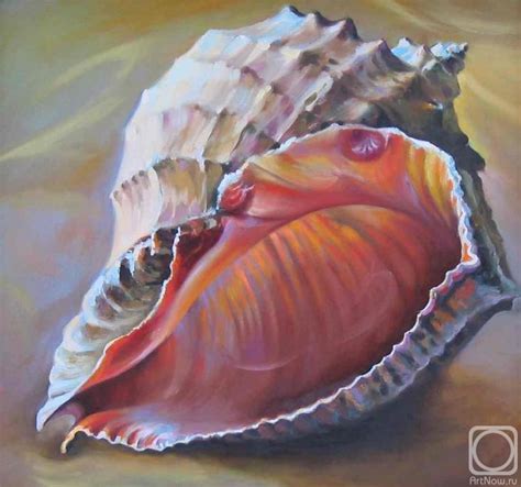 Ракушки.... Обсуждение на LiveInternet - Российский Сервис Онлайн-Дневников