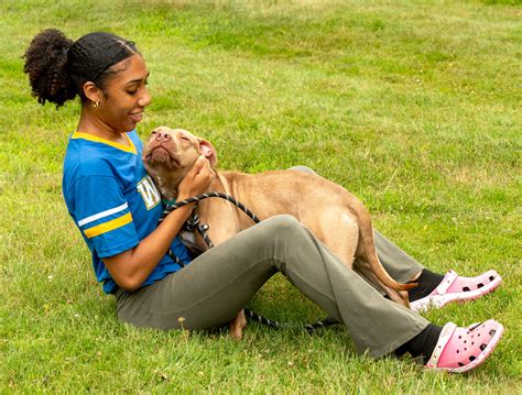 worcester telegram obits 6