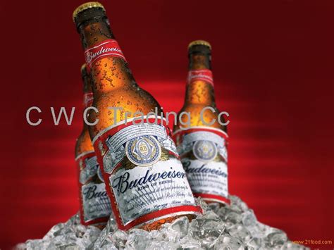 Budweiser Beer Fresh Stock,South Africa Budweiser price supplier - 21food