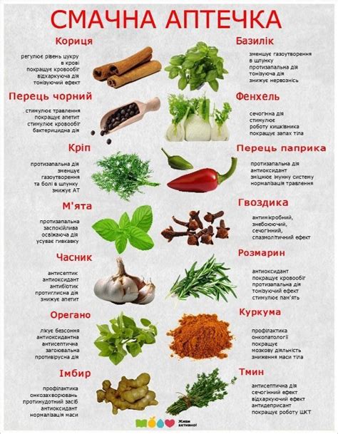 Pin on Вітамінка | Healthy herbs, Healthy grass, Healthy recipes