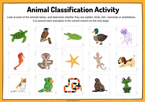 Animal Classification Sorting Worksheet - Kidpid - Worksheets Library