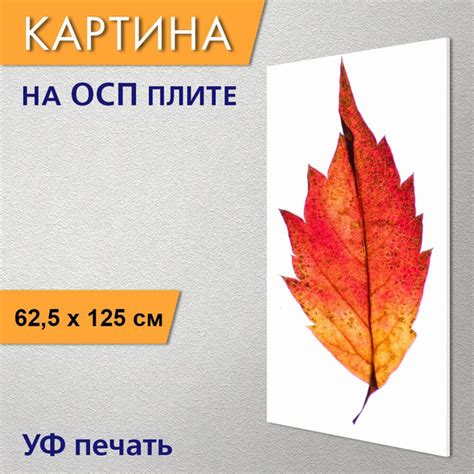 Вертикальная картина "Падение, красный, желтый" для интерьера на стену ...