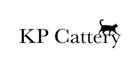 Kp Cattery The Pocklington Bugle