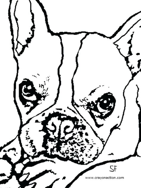 Georgia Bulldogs Coloring Pages at GetColorings.com | Free printable ...