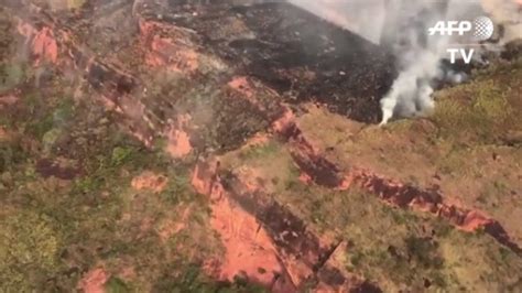 Cinco Cosas A Saber Sobre La Amazonia Un Tesoro Ecológico Amenazado Por La Deforestación Y Los