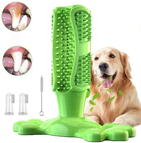 Best Dog Toothbrush (2021 Buyers Guide) - gentledogtrainers.com.au