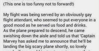 Vjbrendan The Gay Flight Attendant
