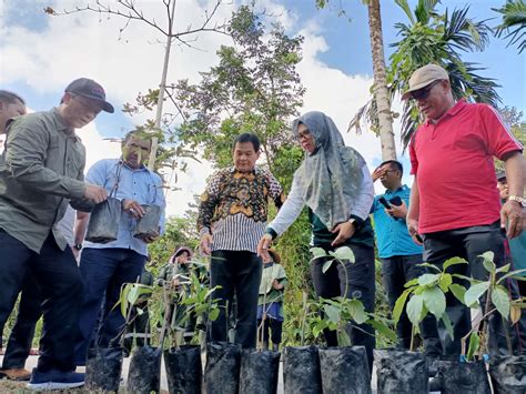 RRI Co Id Dinas Lingkungan Hidup Simeulue Tanam Ribuan Pohon