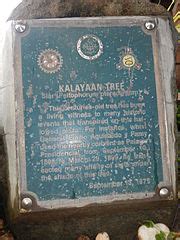 Category:Kalayaan Tree Monument - Wikimedia Commons