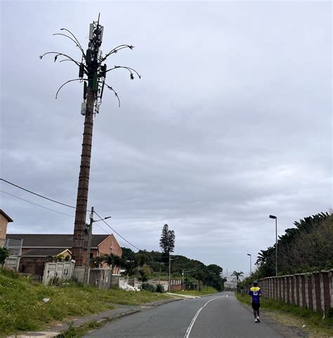 bluff marathon deciduous cell phone tower  running mann