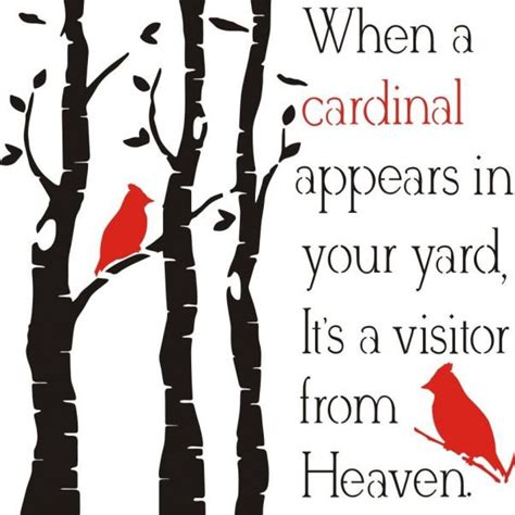 When A Cardinal Appears In Your Yard