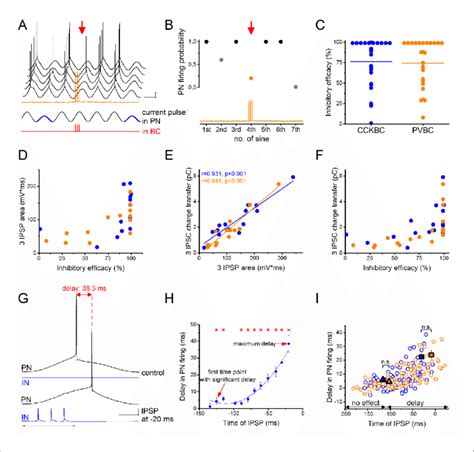 Cckbcs And Pvbcs Inhibit Pn Firing With Similar Efficacy A