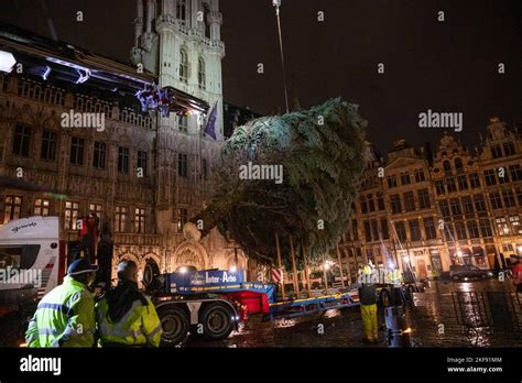 Brussels, Belgium, 17 November 2022. Illustration picture shows the ...