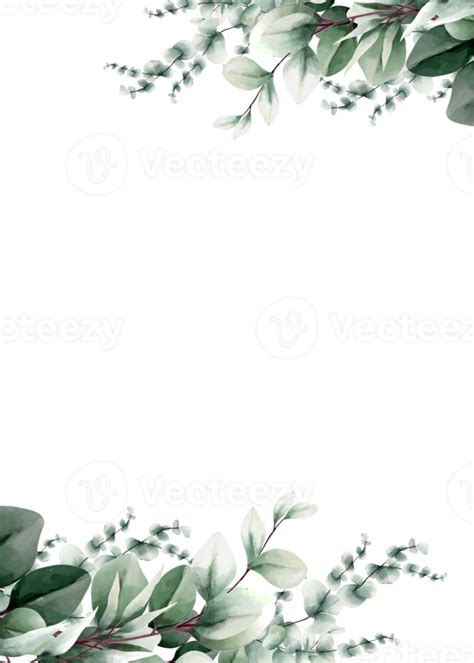 Watercolor Eucalyptus Frame Png