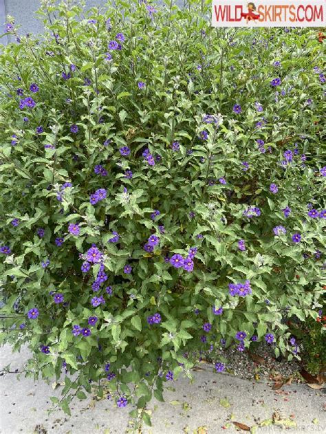 Nakedbakers Nude Leaked Photos And Videos Wildskirts