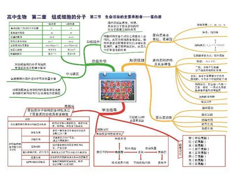 高中生物思维导图 第一章 走进细胞 教习网课件下载