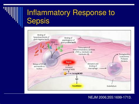 Ppt Sepsis Septic Shock And Systemic Inflammatory Response Syndrome