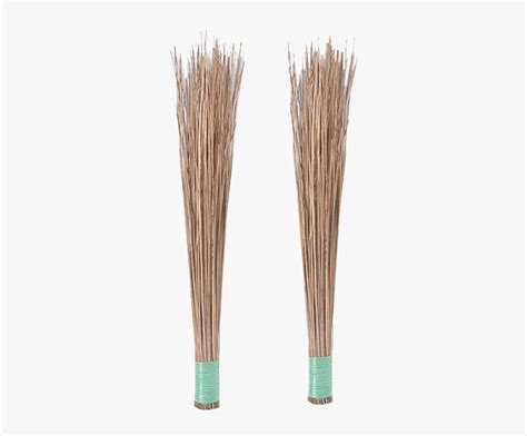 coconut broom png image background coconut jhadu transparent png