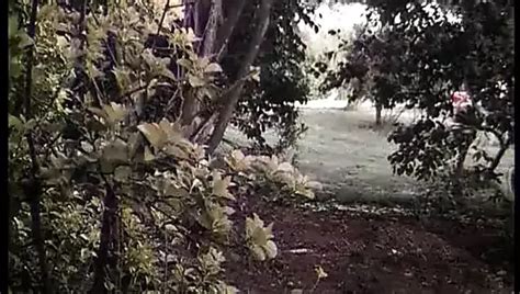 Luana La Porcona HD Free Xxx Twitter HD Porn Video 09 XHamster