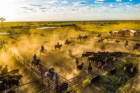 Legendary 6666 Texas Ranch On The Market For 192m After Oil Heiress