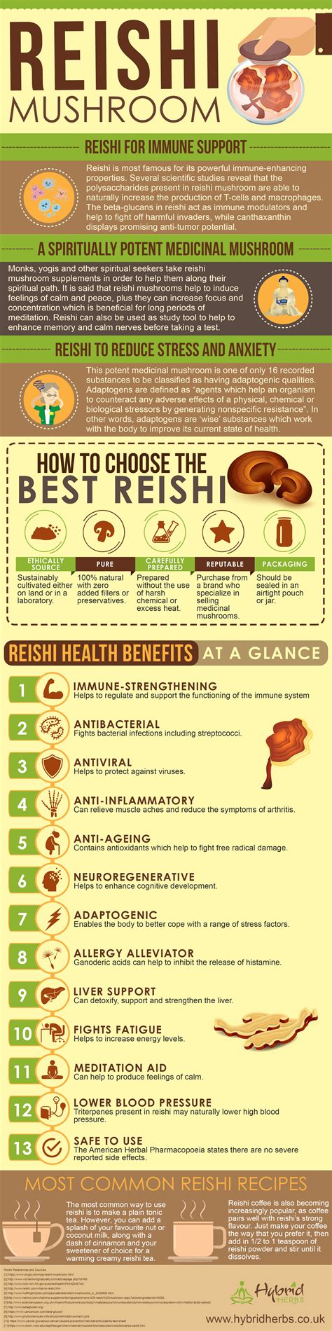 Understanding The Specific Healing Properties Of Rashi Mushrooms Now - RYZE Superfoods