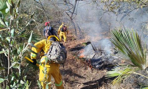 Reportan 15 Incendios Forestales Y Suburbanos Activos En Guerrero