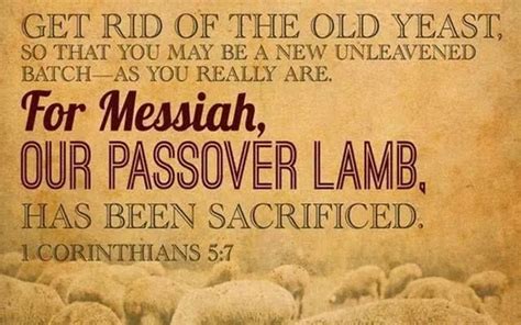 Messiah Yeshua Sacrificed Passover Lamb Feast Of Unleavened Bread