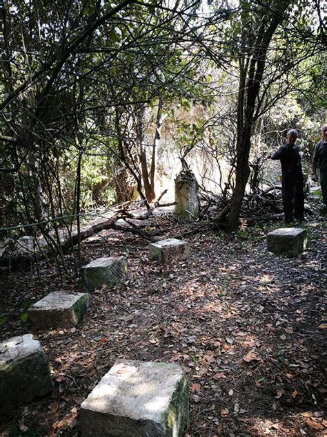 Visita Guidata E Presentazione Di Italia Selvatica Di Daniele Zovi