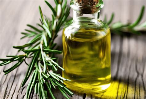 benefits  rosemary oil  hair