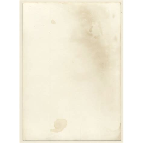 Erotic Study Natural Nude In Forest Boobs Vintage Photo GDR 1970s 1980s