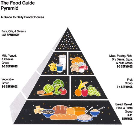 health     food pyramid