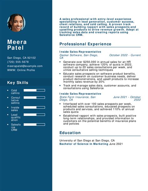 Sales Experience Resume Example