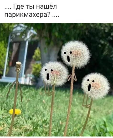 Пин на доске Юмор, смешные картинки,анекдоты.