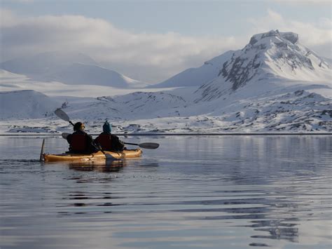 Svalbard Wildlife Expeditions (2026 Reviews) - All You Need to Know