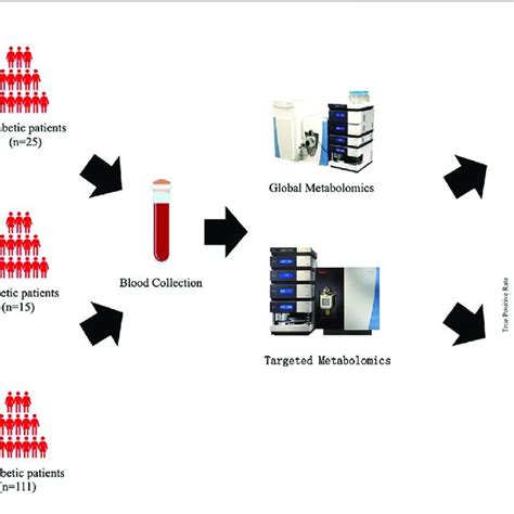 | Schematic study design. | Download Scientific Diagram